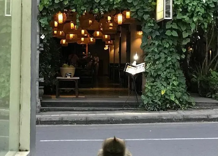 Guest house Gata *